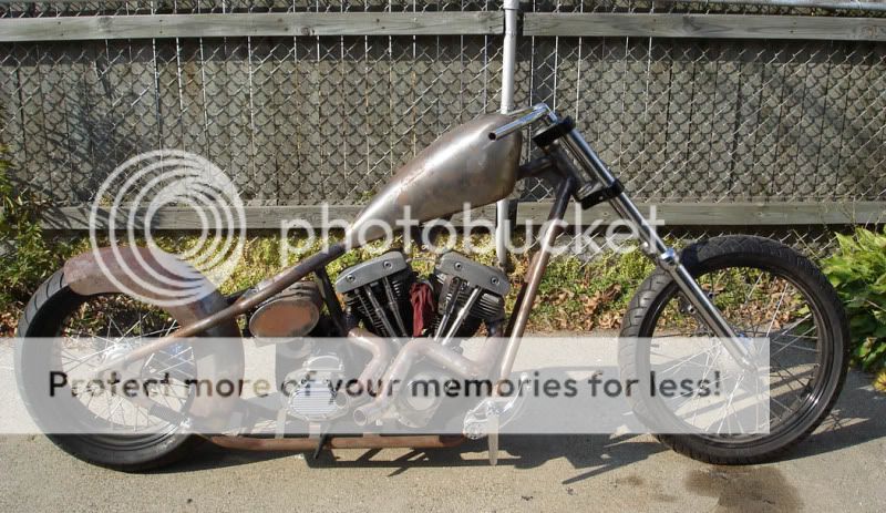 81 shovelhead for sale